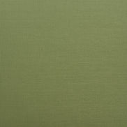 Rio Barstool (Set of 2) Green