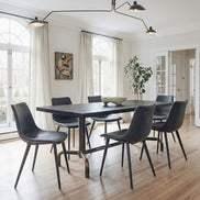 Daniel Dining Chair (Set of 2) Vintage Black