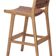 Feder Barstool (Set of 2) Brown