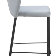 Linz Counter Stool (Set of 2) Gray