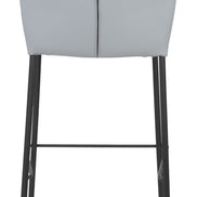 Linz Counter Stool (Set of 2) Gray