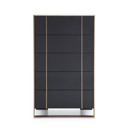 Cartier Modern Black & Rosegold Chest - image 3