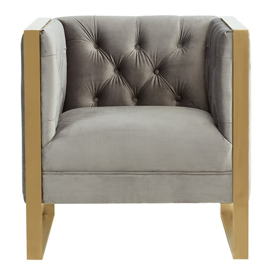 Carlos Modern Grey Velvet & Gold Accent Chair