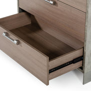 Boston - Modern Brown Oak & Brushed Stainless Steel Chest - image 2