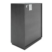 Manhattan- Contemporary Grey and Gold Chest - image 4