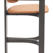 Shaili Barstool Brown
