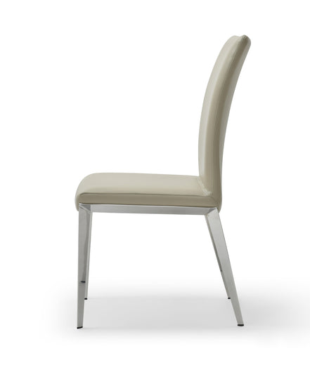 Taryn - Modern Light Grey + Stainless Steel Dining Chair (Set of 2)