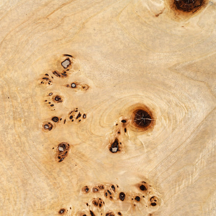 July - Modern Mapa Burl Round Coffee Table - image 3