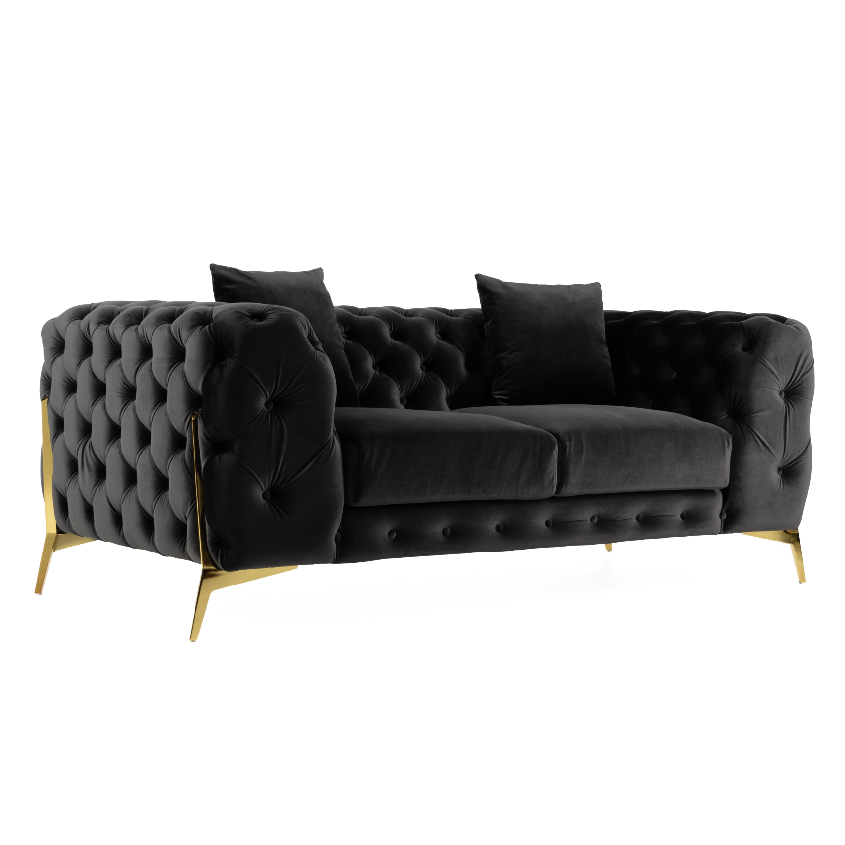 Clarice - Transitional Black Velvet Loveseat - image 4