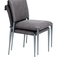 Freesia Dining Chair (Set of 2) Charcoal Gray