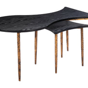 Norden Coffee Table Set (2-Piece) Black & Bronze