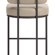 Velar Counter Stool (Set of 2) Beige & Gray
