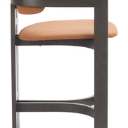Shaili Counter Stool Brown