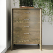 Carolina - Modern Wenge Chest