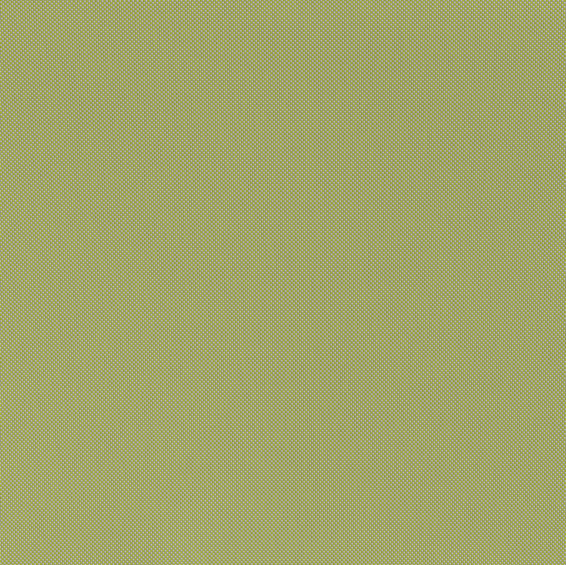 Lychee Chaise Lounge Green