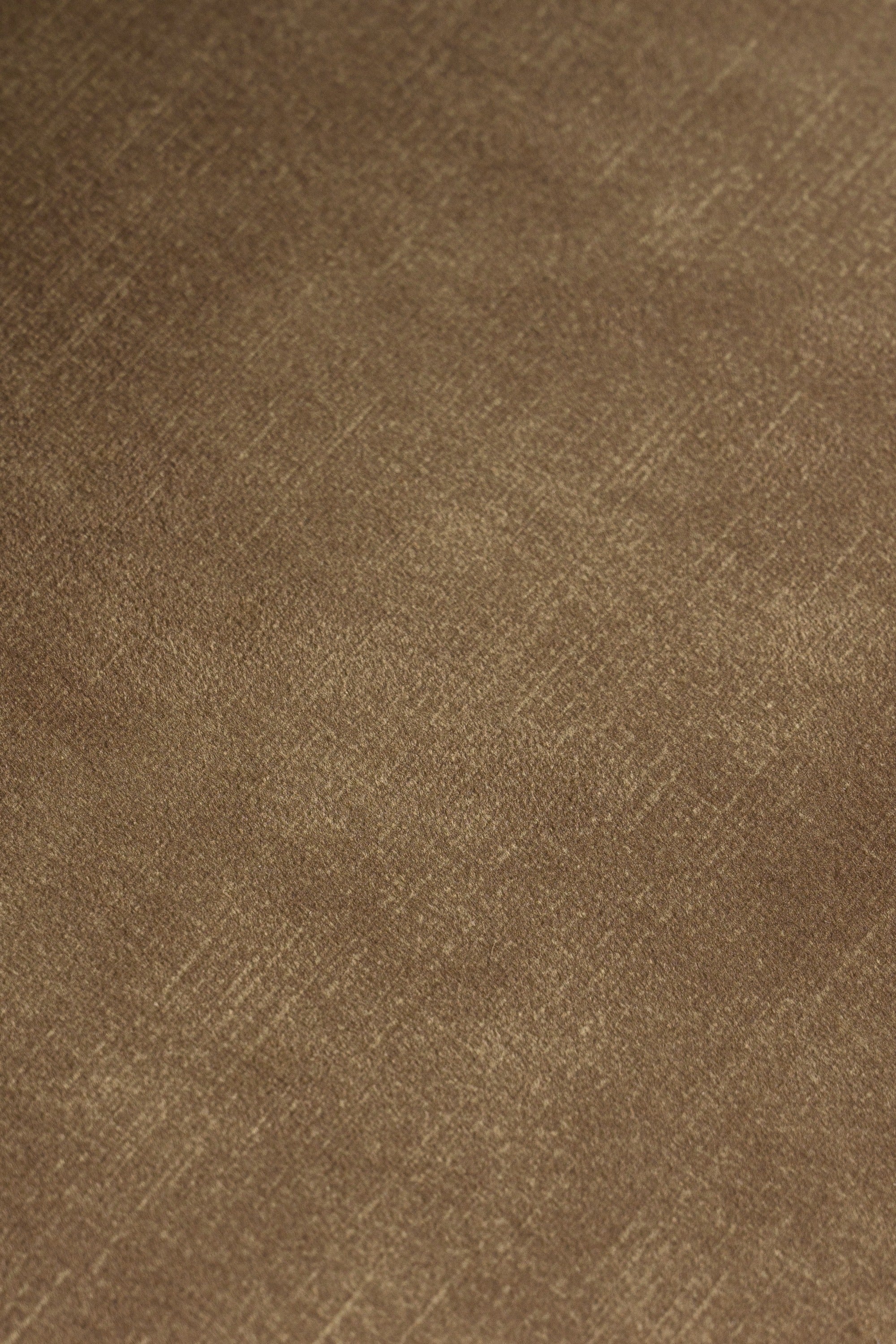 Ditka - Modern Camel Velvet Dining Chair (Set of 2) - image 2
