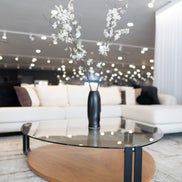 Viviana - Modern Coffee Table - image 2
