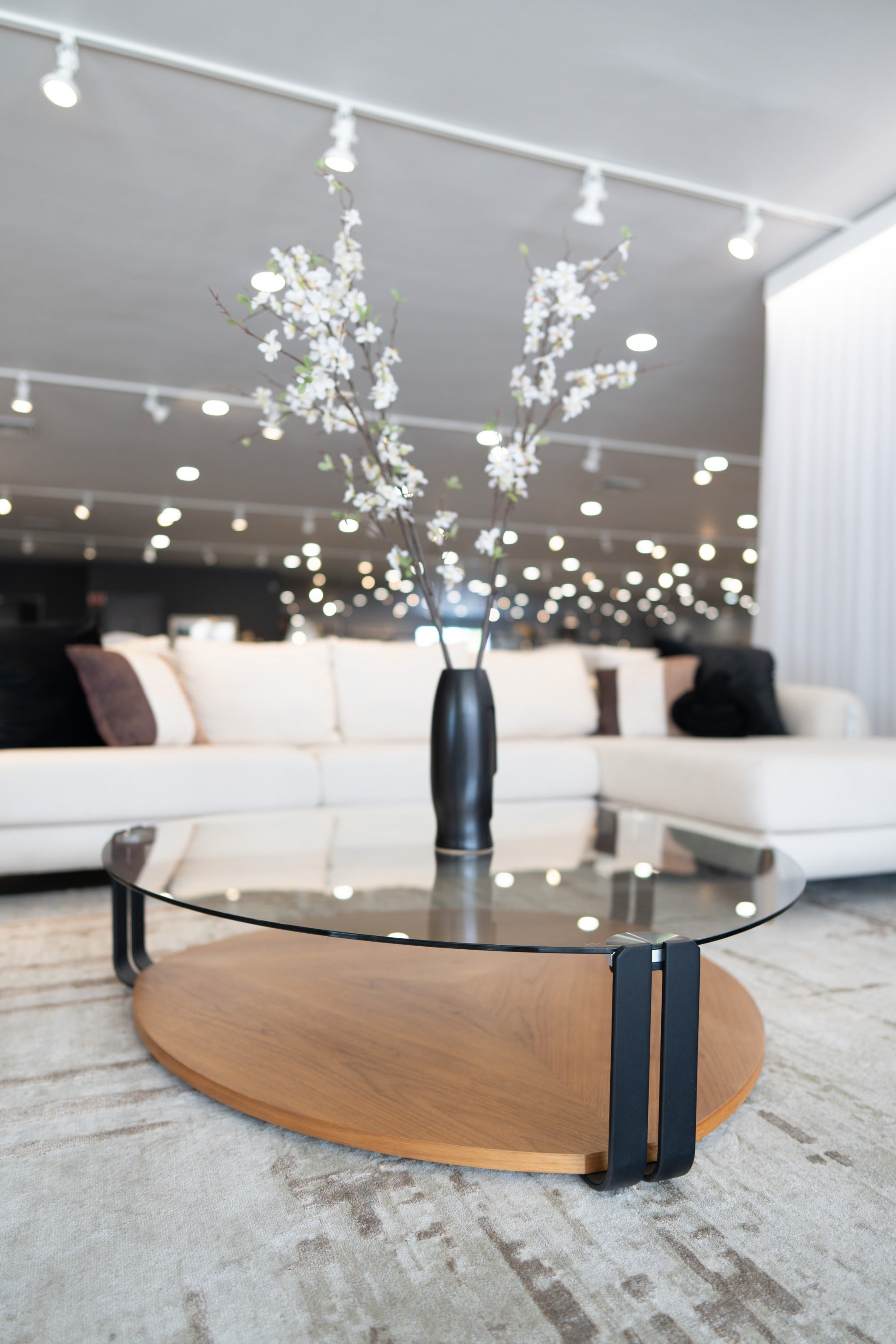 Viviana - Modern Coffee Table - image 2