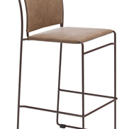 Verbena Barstool (Set of 2) Brown