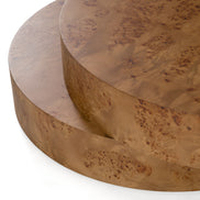 Ely - Modern Faux Burl Coffee Table - image 3