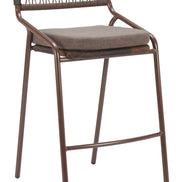 Rio Barstool (Set of 2) Brown