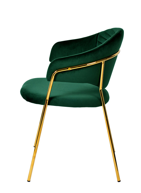 Trevor Modern Green Velvet & Gold Dining Chair (Set of 2)