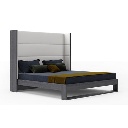 Heloise - Queen Contemporary White Leather & Grey Elm Trim Bed - image 2