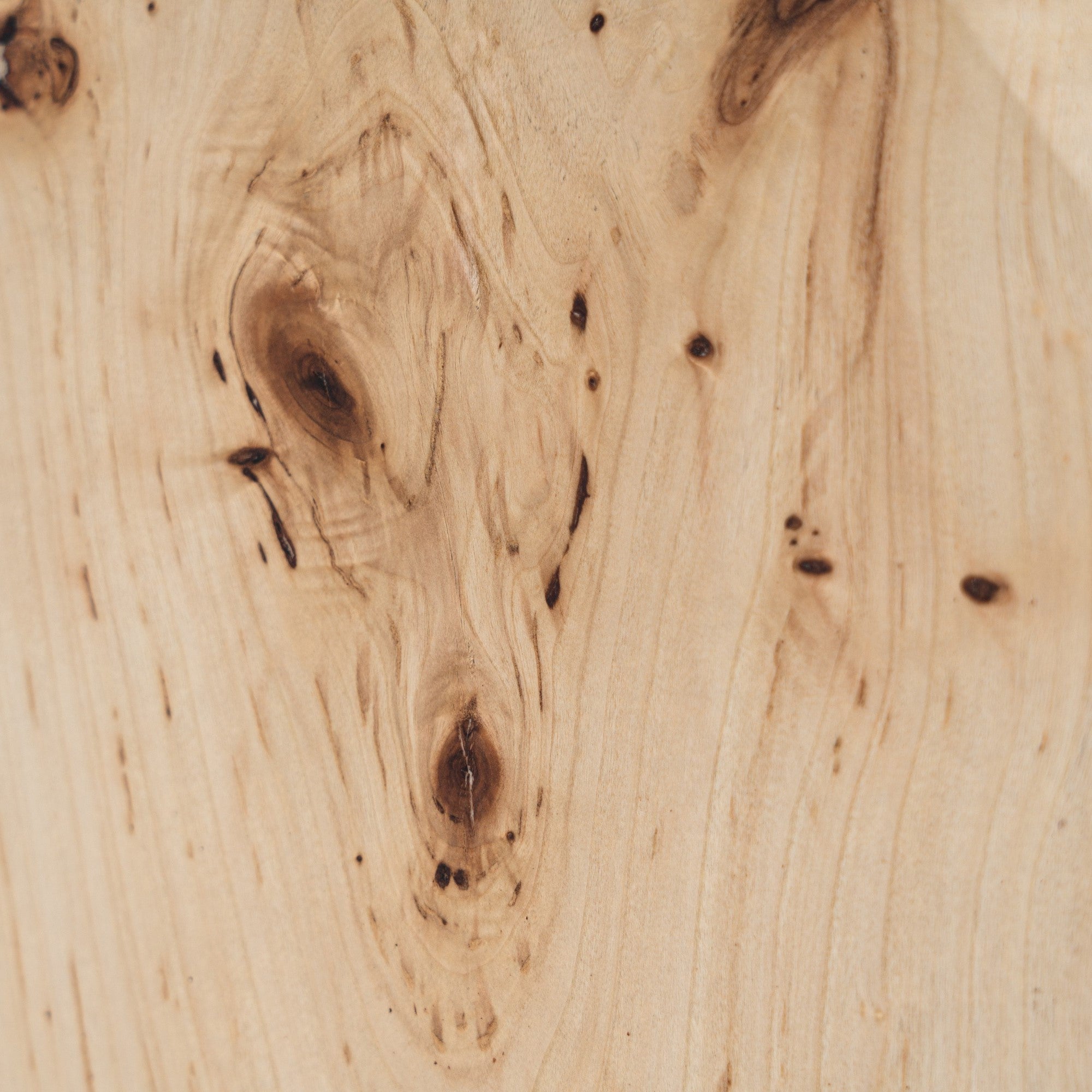 July - Modern Mapa Burl Round End Table - image 3
