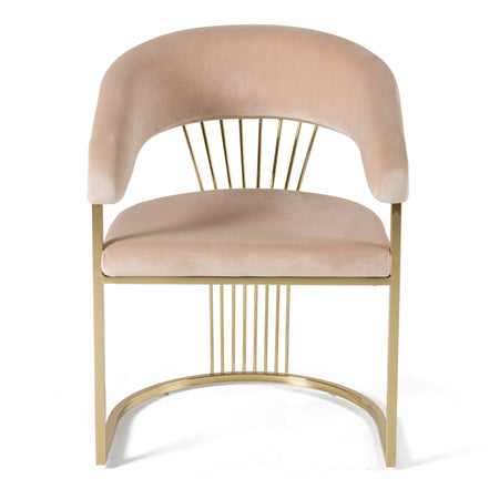Linda - Modern Beige Velvet and Gold Dining Chair - image 2