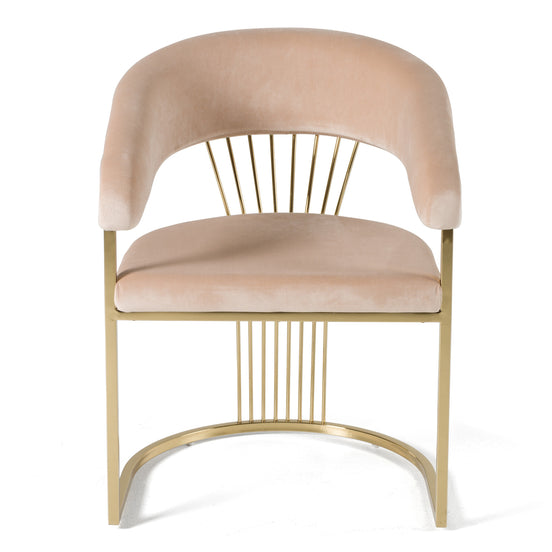 Linda - Modern Beige Velvet and Gold Dining Chair - image 2