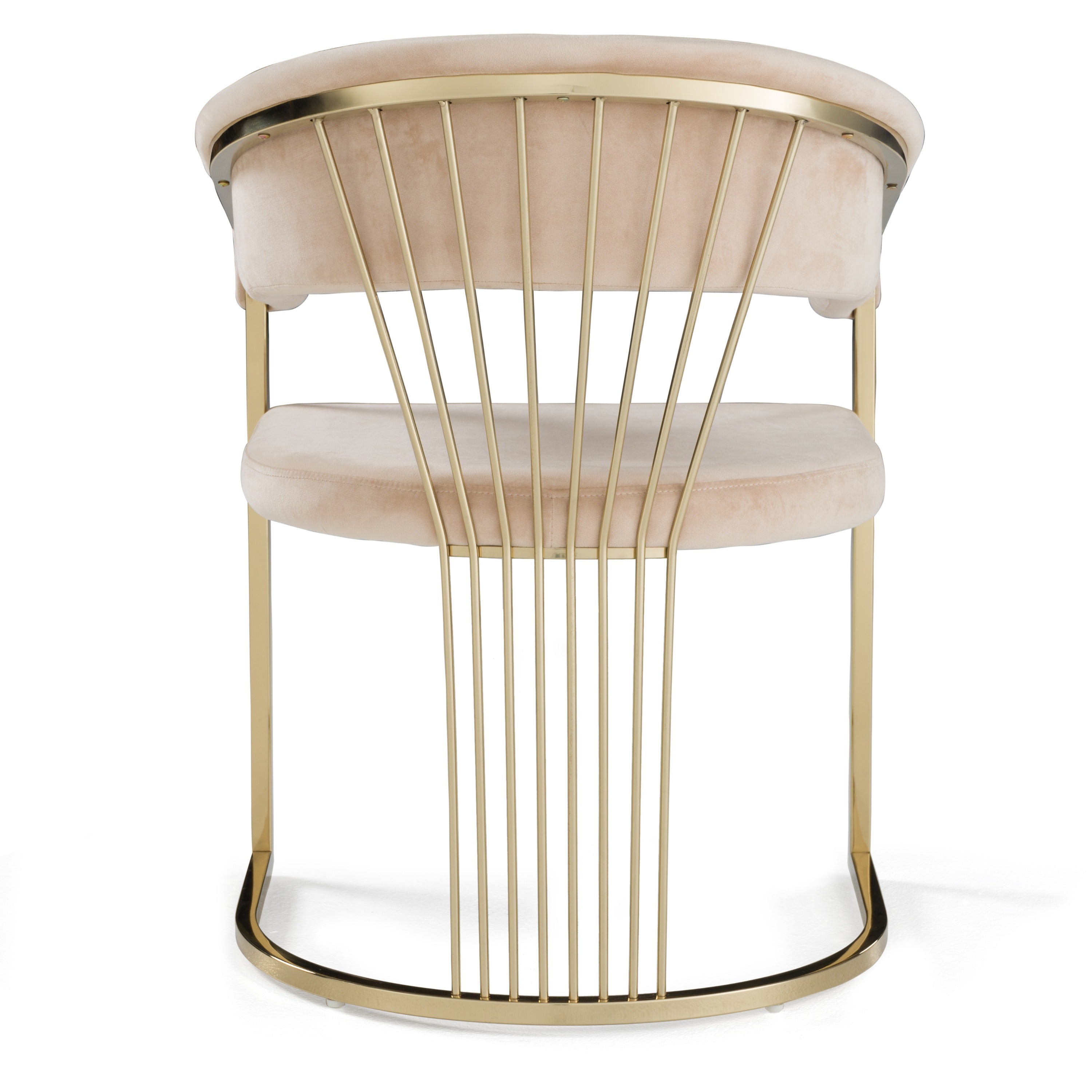 Linda - Modern Beige Velvet and Gold Dining Chair - image 4