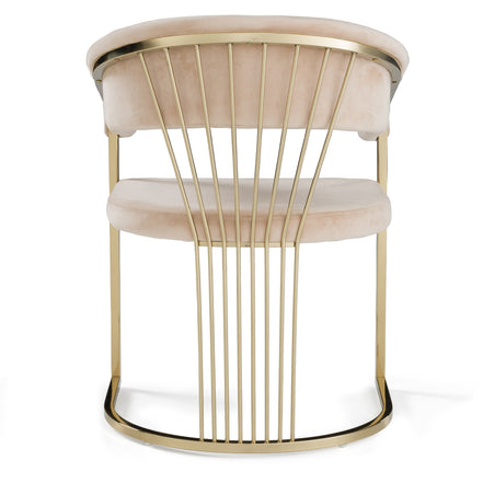Linda - Modern Beige Velvet and Gold Dining Chair - image 4