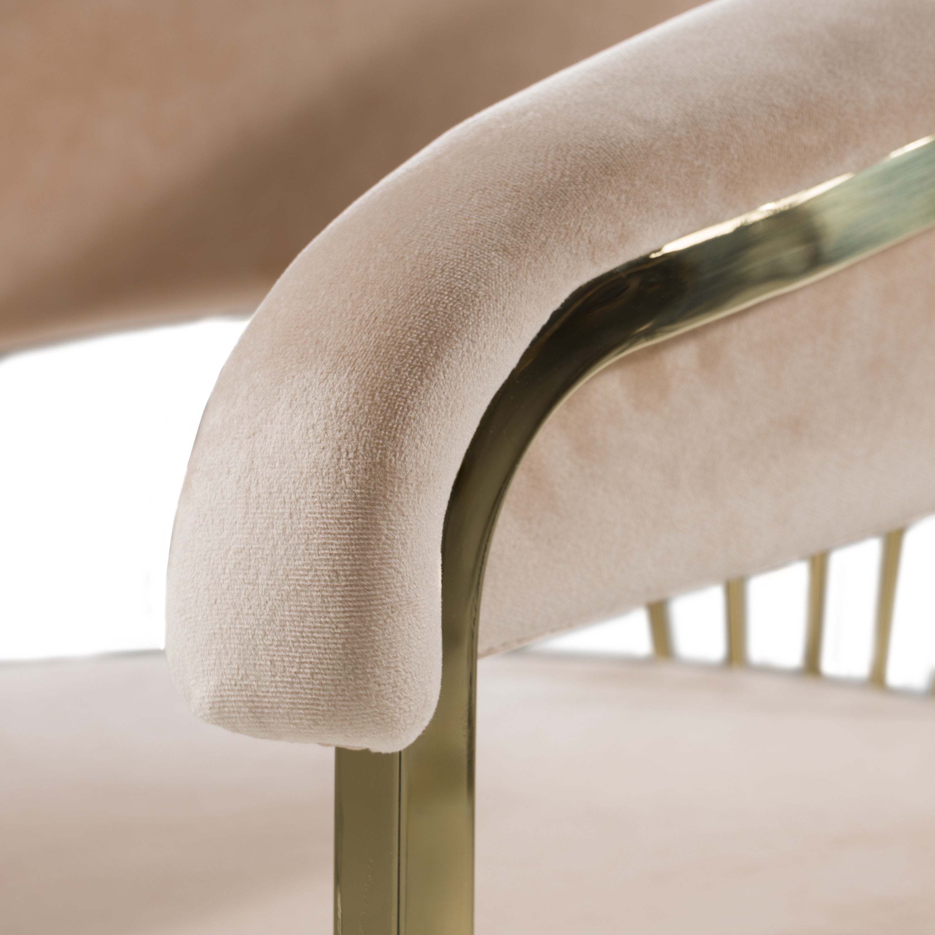 Linda - Modern Beige Velvet and Gold Dining Chair - image 5