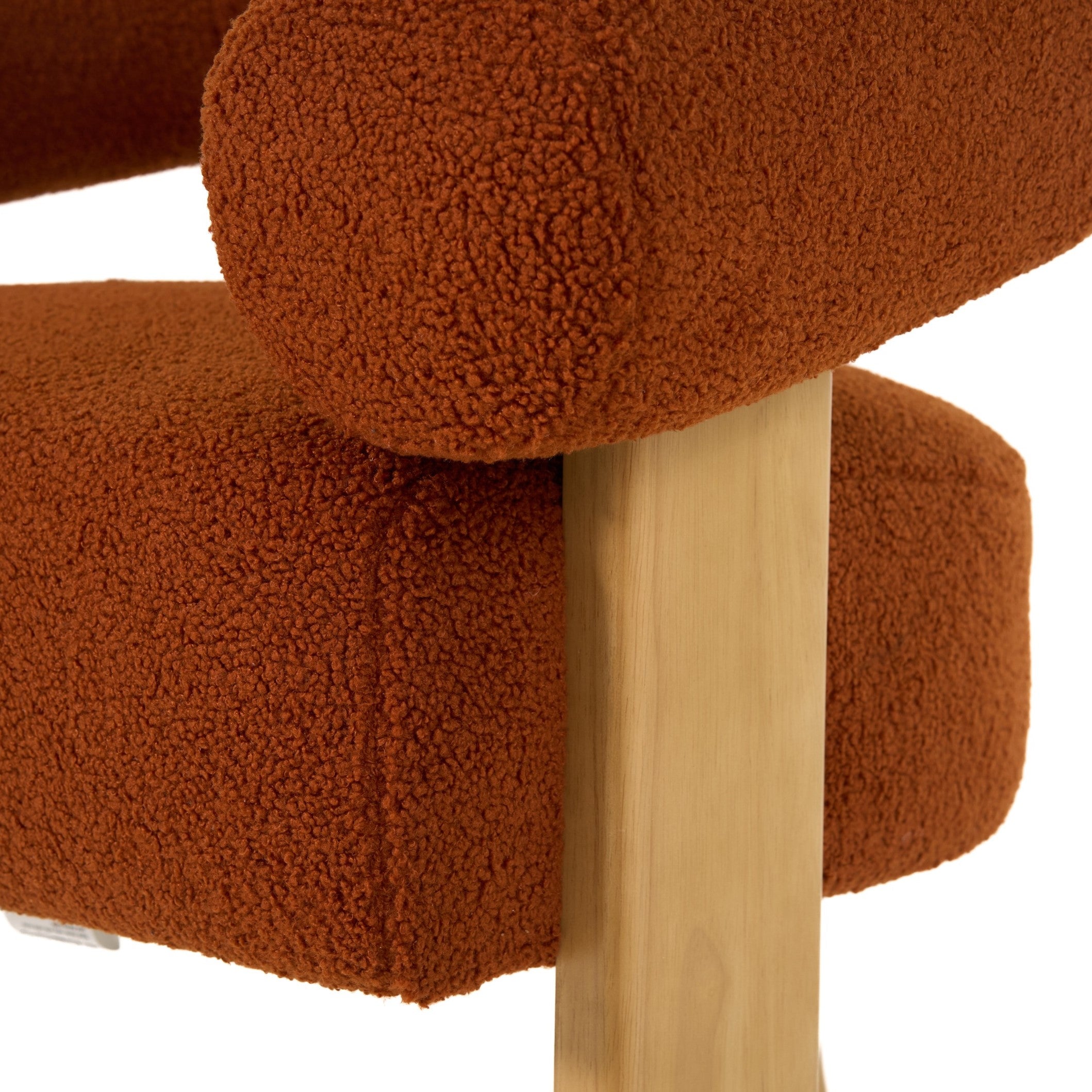 Nocona - Modern Rust Fabric + Wood Accent Chair - image 5